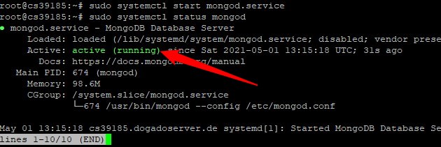 Serverstatus prüfen für MogoDB