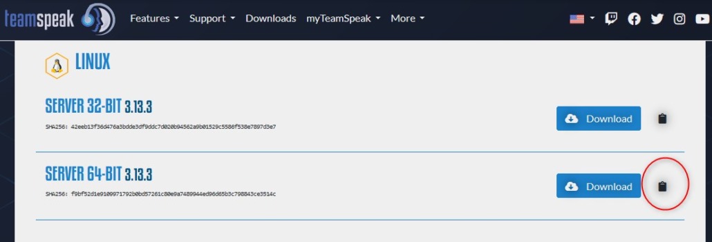 Teamspeak Serverpaket Download
