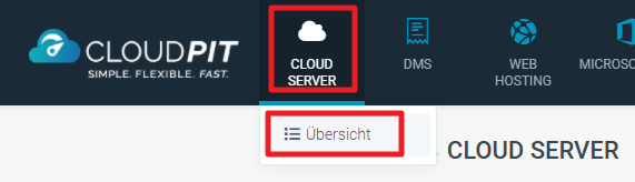 Cloud Server im Cloudpit von dogado
